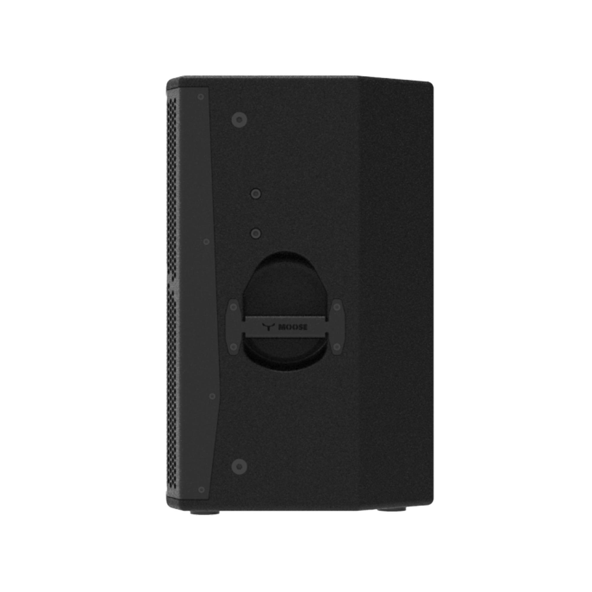 Moose Sound C10 900W 10 inch Passive Loudspeaker